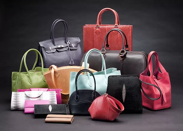 Handbags for rakhi gift