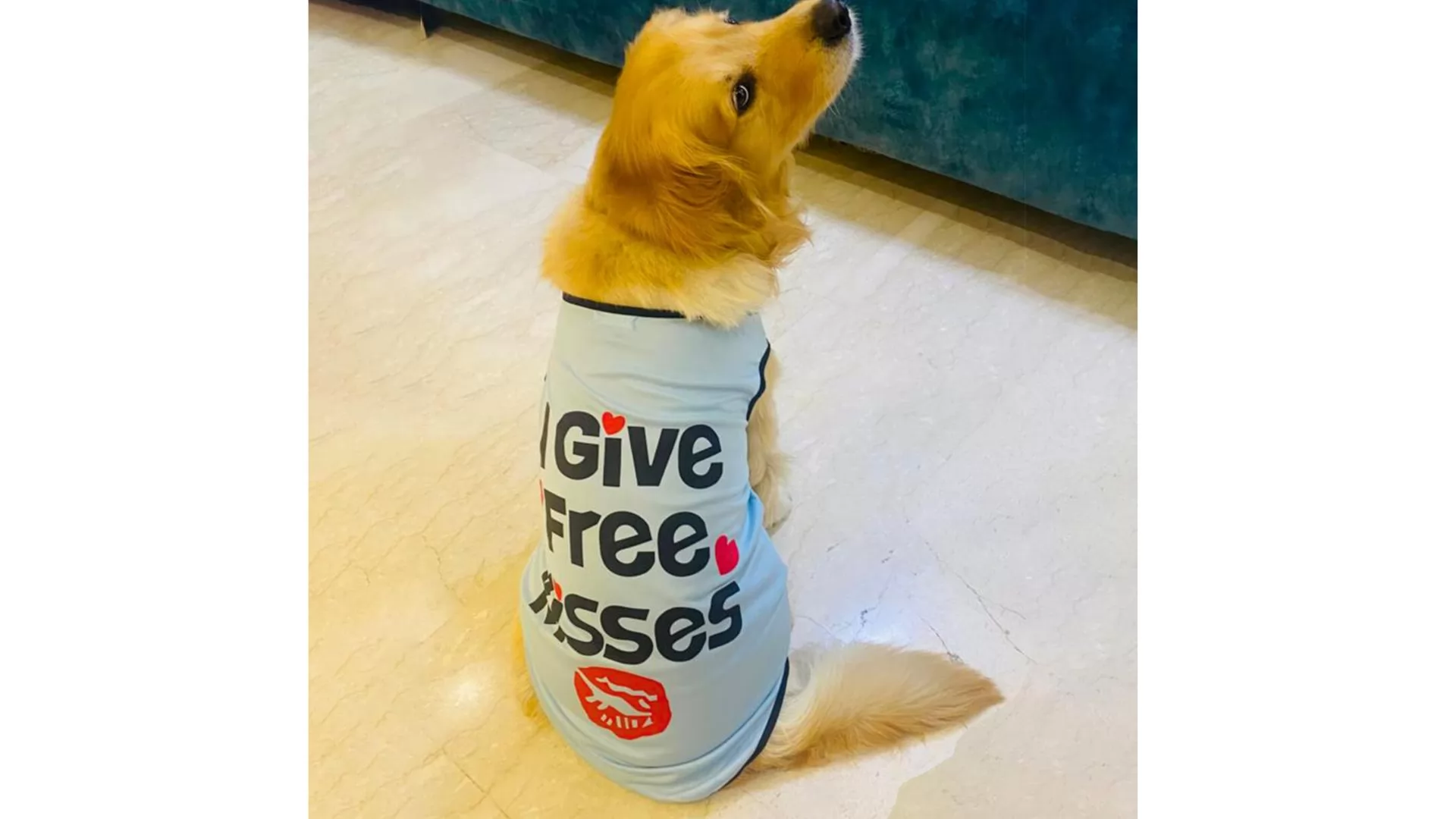 Lulala I Give Free Kisses Printed Dog T-shirt