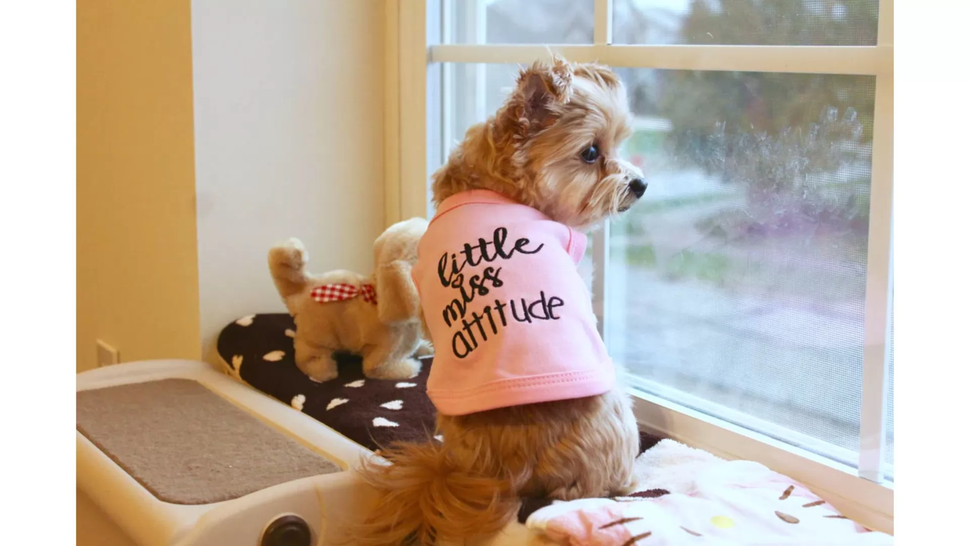 ZL Pet Little Miss Attitude Dog T-Shirt