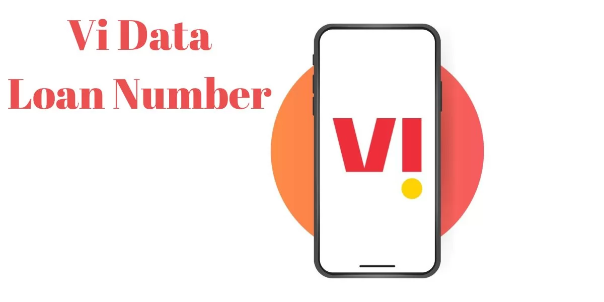 Vi Data Loan Number 2023-24