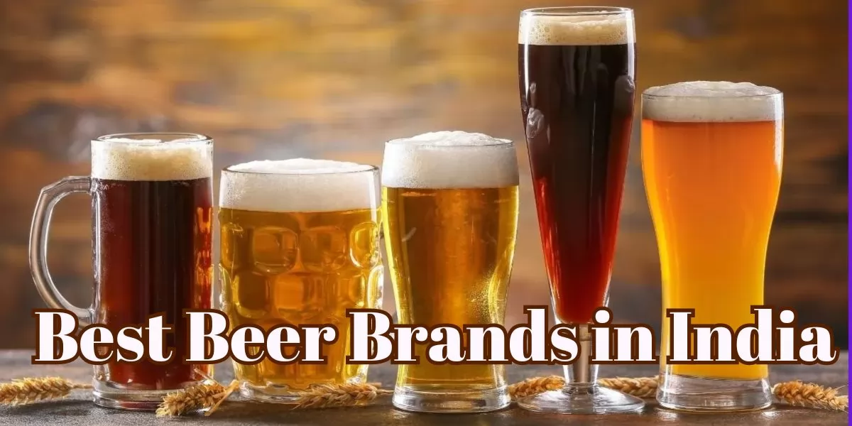 31 Best Beer Brands in India (2024)