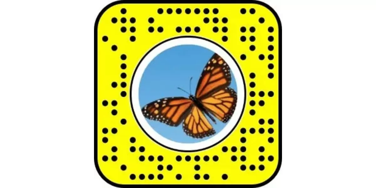 unlock the butterflies lens on Snapchat