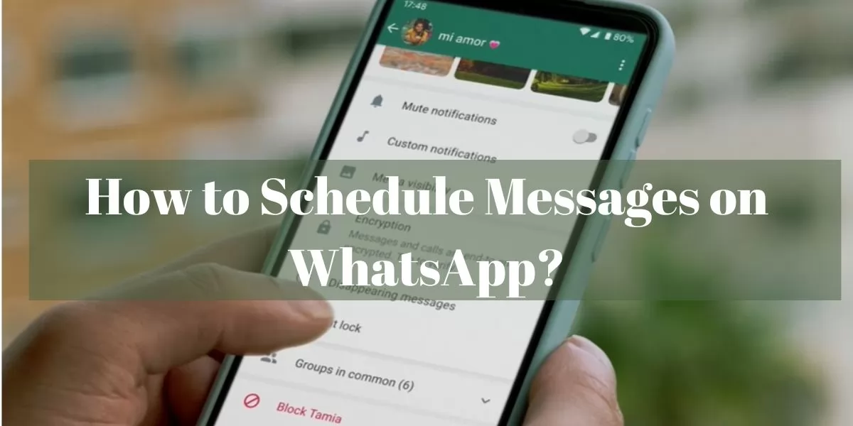 How to Schedule Messages on WhatsApp?