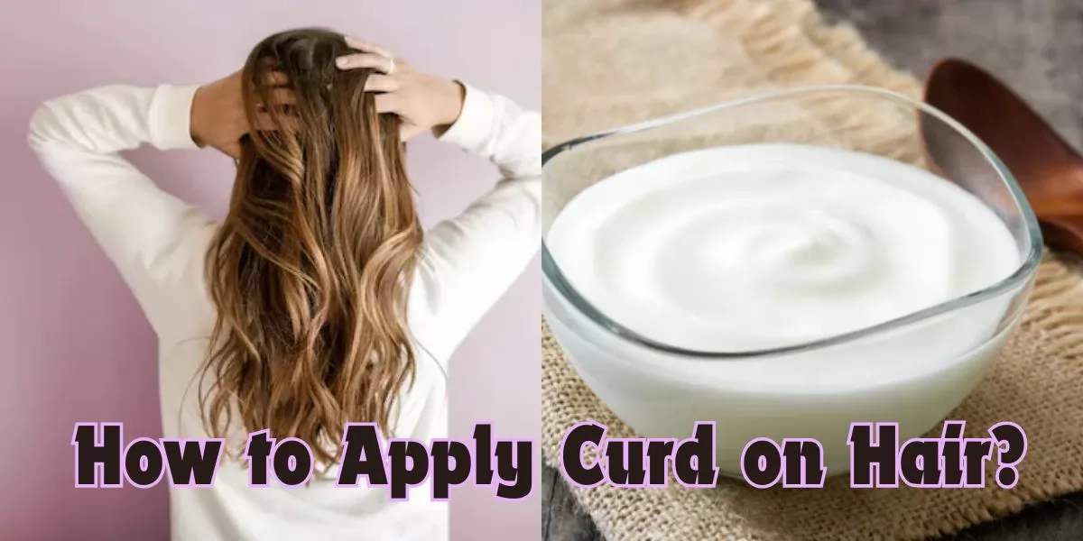 How to Apply Curd on Hair