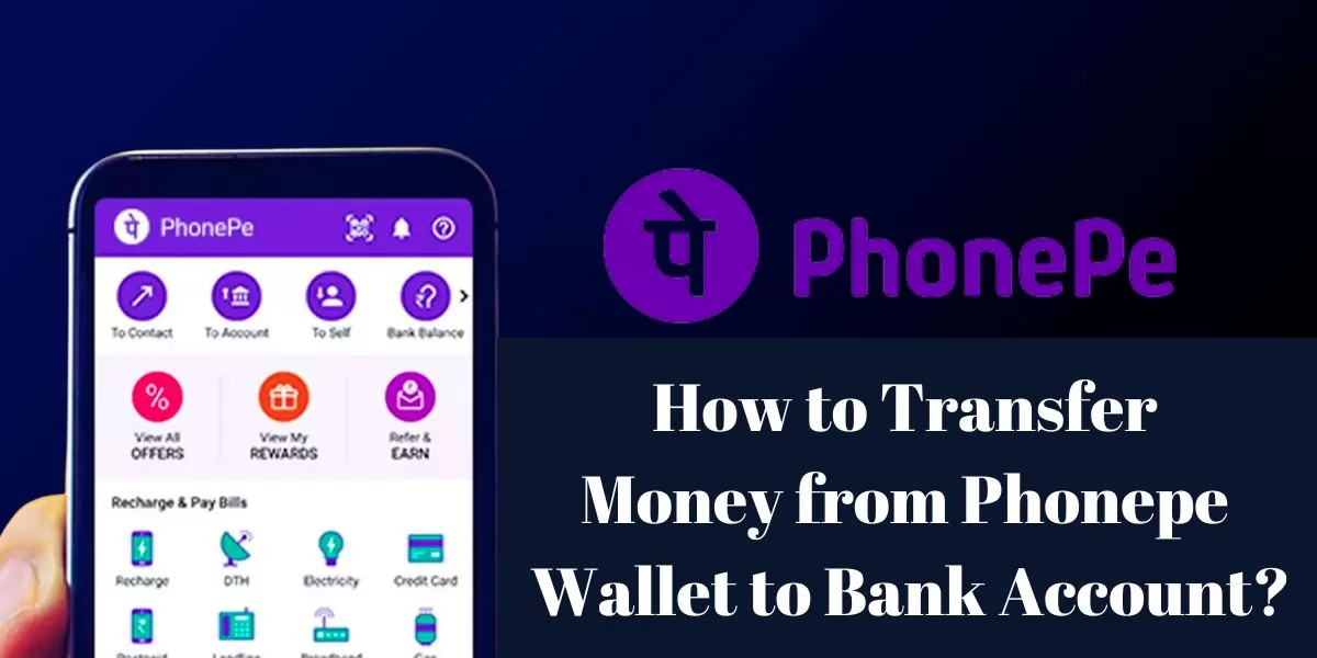 How to Transfer Money from Phonepe Wallet to Bank Account