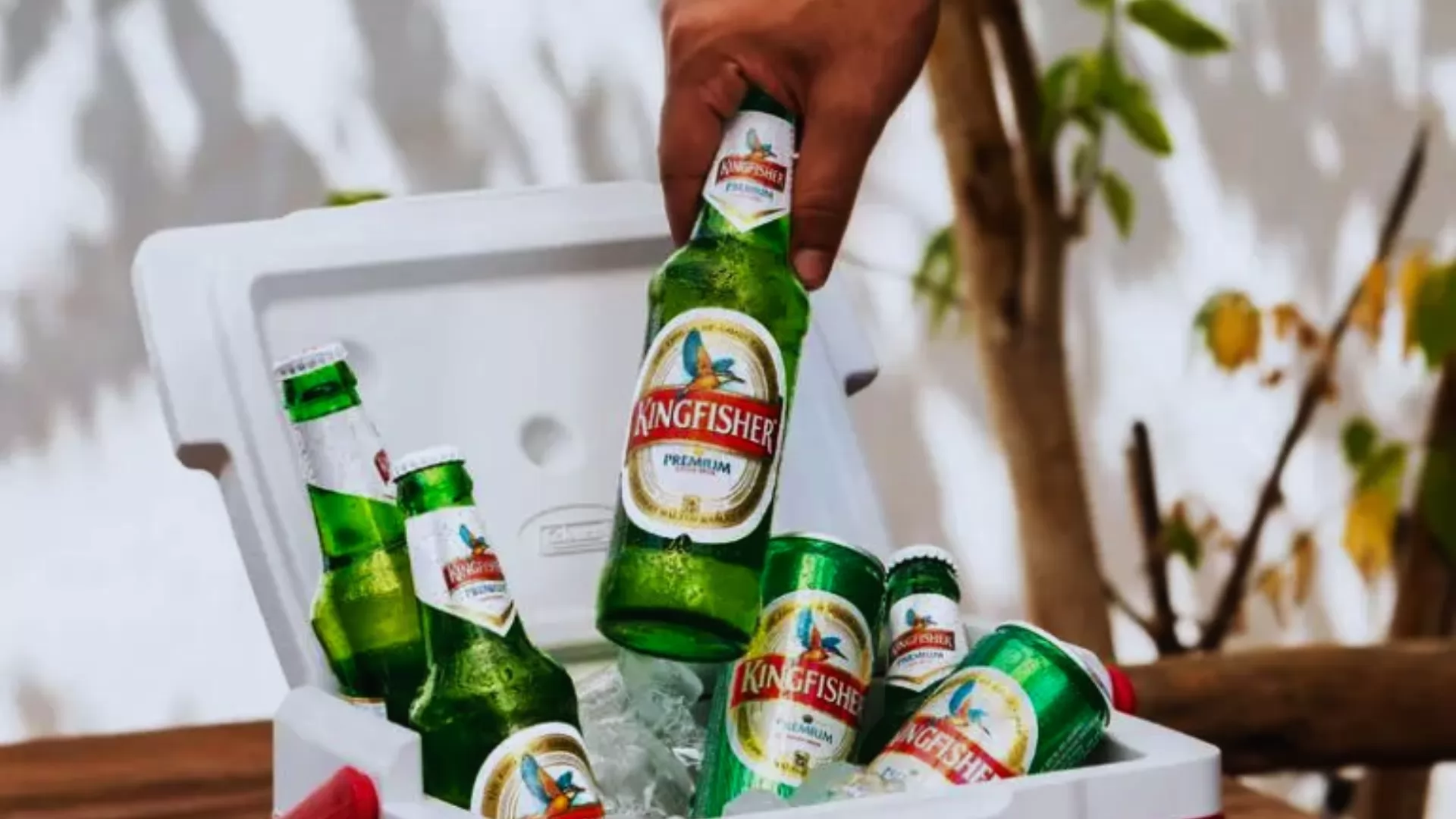 Kingfisher Premium Beer