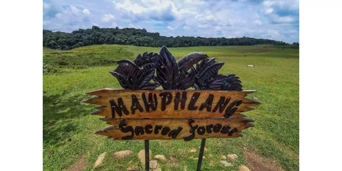 Mawphlang Sacred Forest