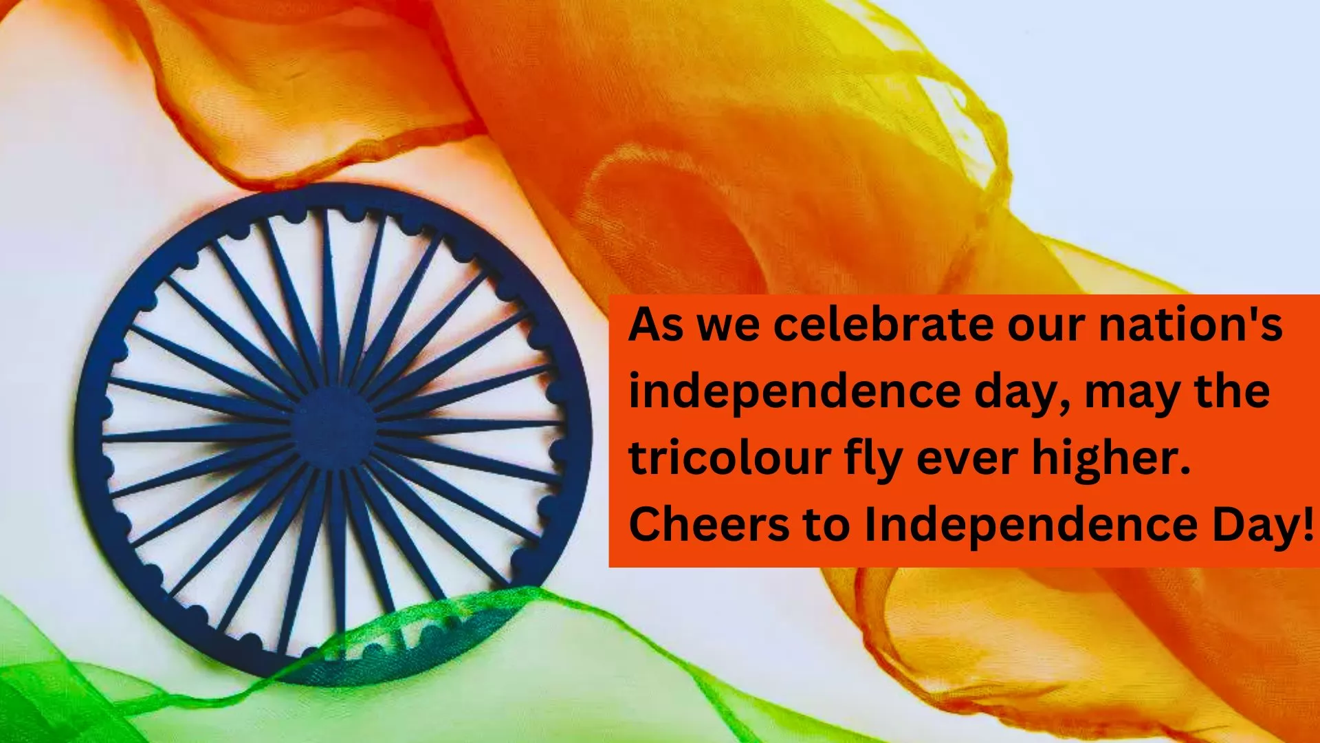 As we celebrate our nation's independence day, may the tricolour fly ever higher. Cheers to Independence Day!