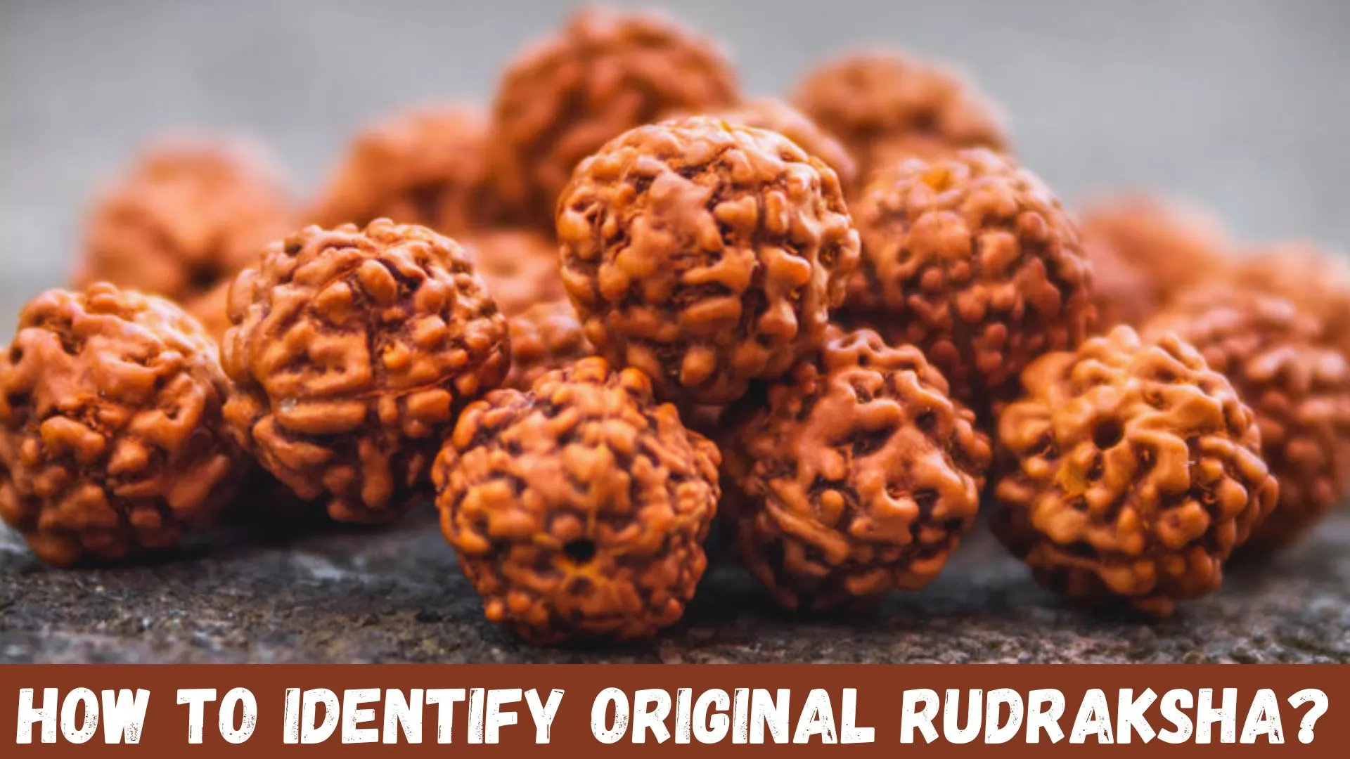 How To Identify Original Rudraksha?