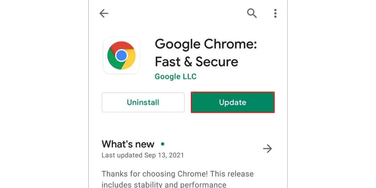 Update Google Chrome 