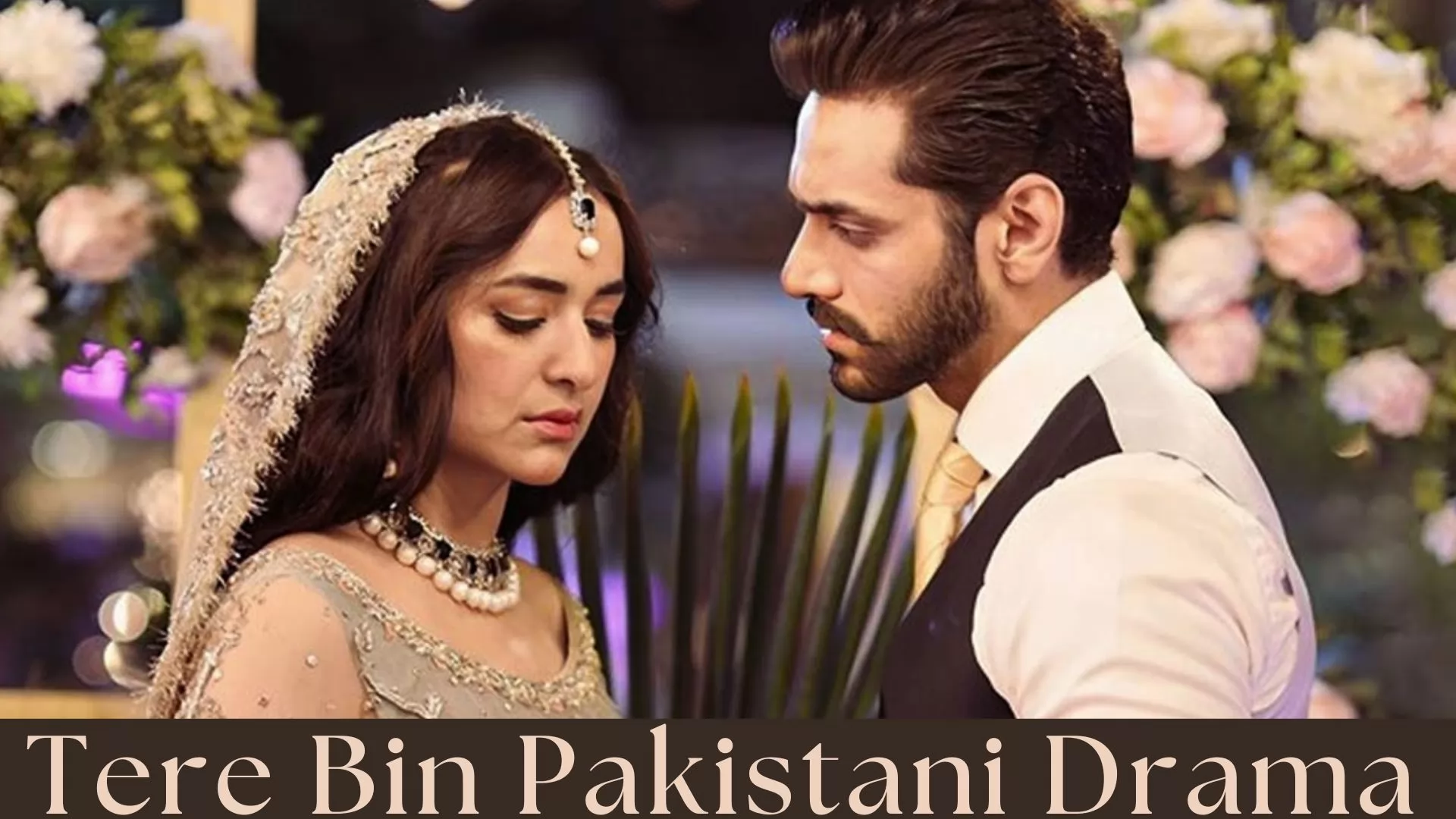 Tere Bin Pakistani Drama