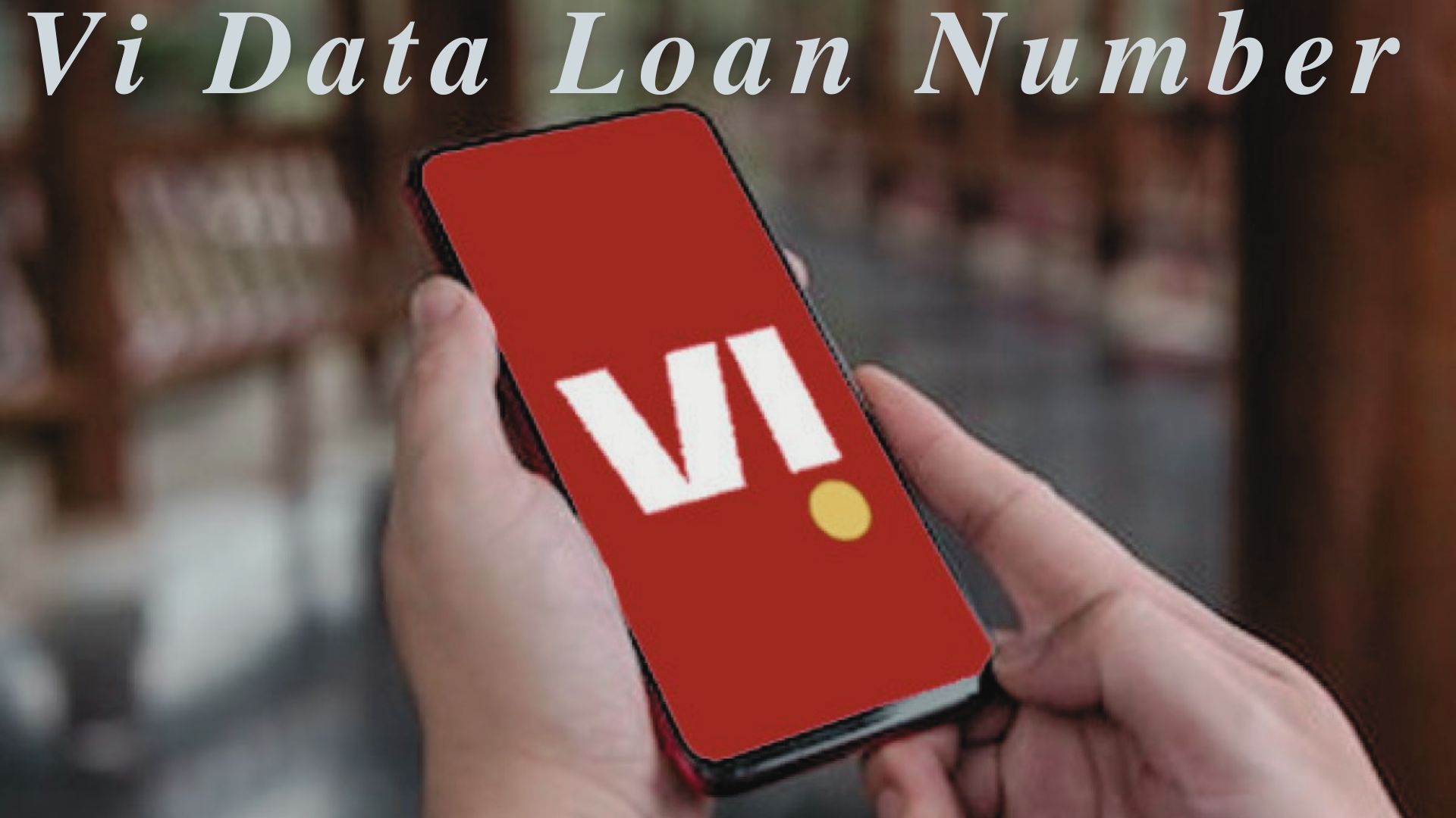 Vi Data Loan Number