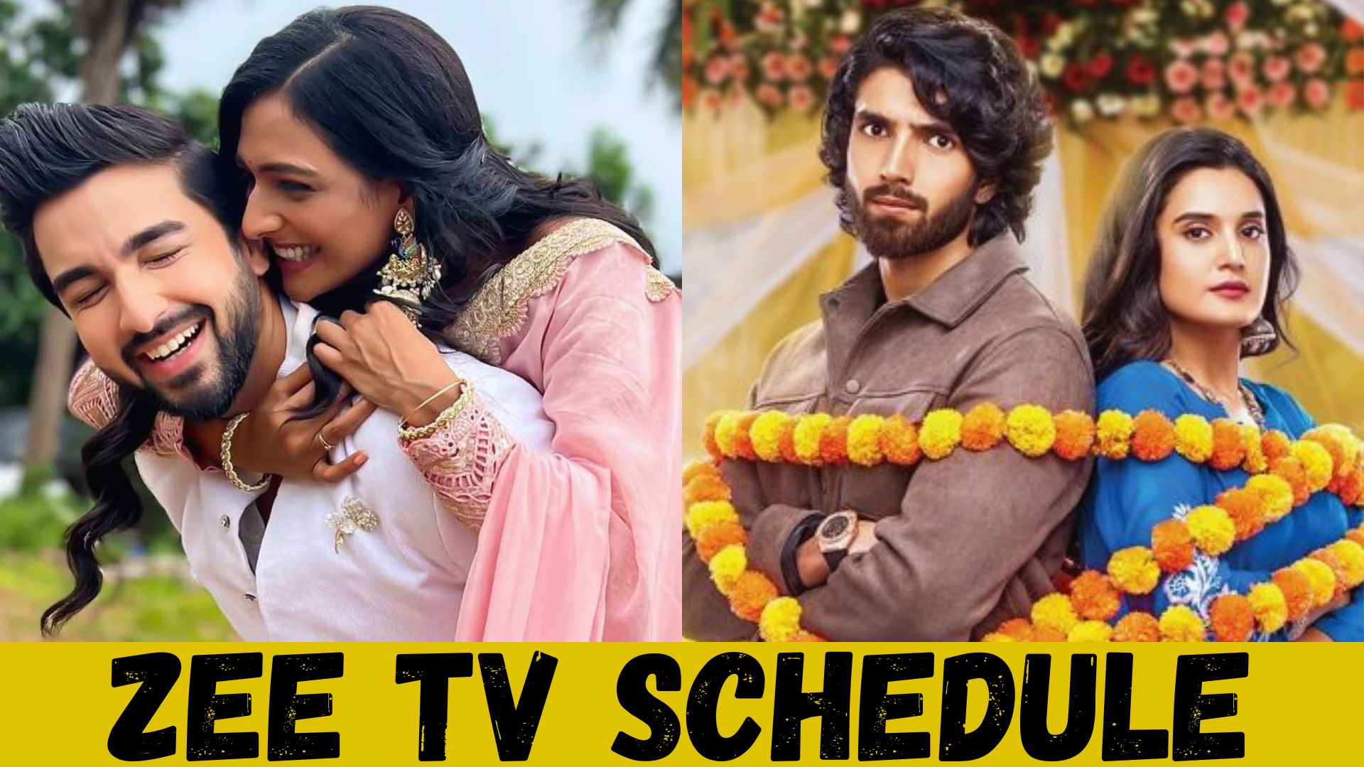 Zee TV Schedule