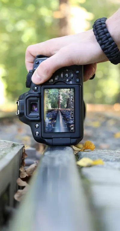 5 Best DSLR Cameras For Beginners